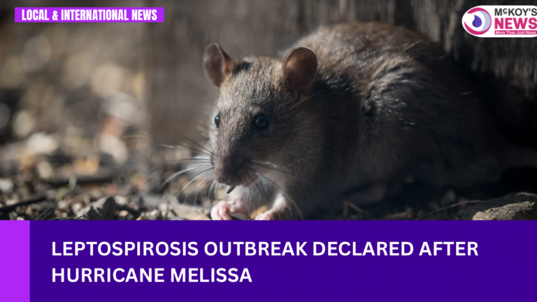 Leptospirosis Outbreak Declared After Hurricane Melissa
