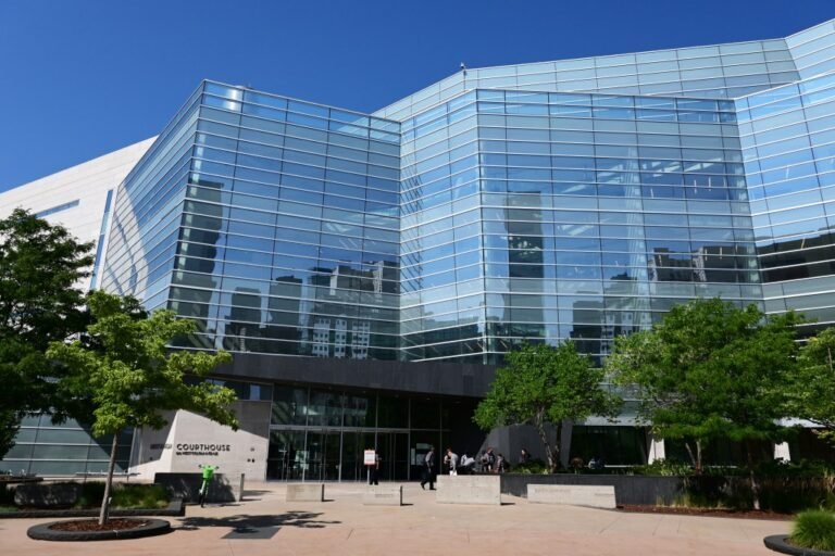 Suspect in fatal Denver sword stabbing pleads guilty to murder