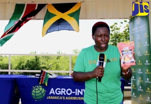 Youth Farmers Given Opportunity to Grow New Apple from Kenya – Jamaica Information Service