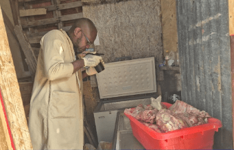 Kingston man in custody and over 500 pounds of uninspected meat seized during police operation in Downtown Kingston