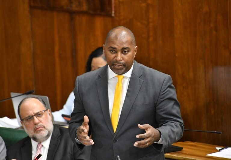 Opposition calls on Gov’t to allocate portion of money from tax on non-alcoholic sweetened beverages towards healthier alternatives