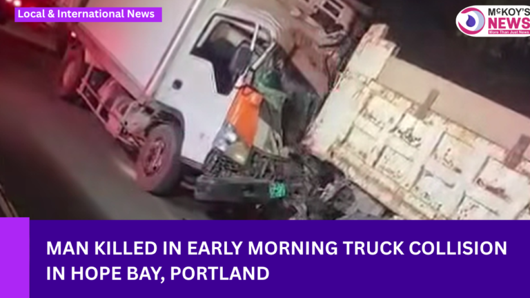 Man Killed in Early Morning Truck Collision in Hope Bay
