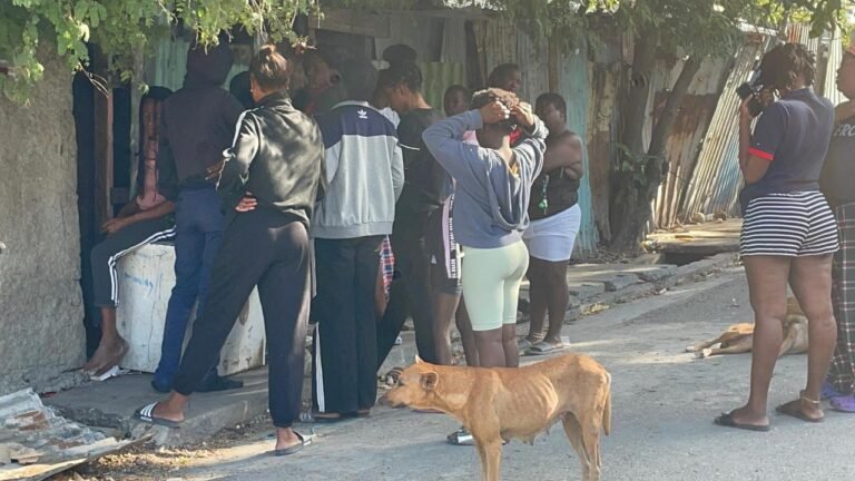 Toddler killed, 8 y/o and man wounded in Denham Town; MP offers reward for information