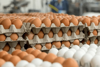 Agriculture Ministry monitoring egg supply after Hurricane Melissa disruptions